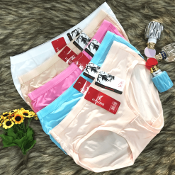 Bỏ sỉ combo 10 quần lót nữ lưng thun cotton size to 65kg