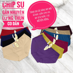Combo 10 quần lót su nữ gợn sóng lưng thun giá sỉ