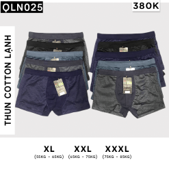 Combo 10 Quần Lót Đùi Nam Thông Hơi - QLN025