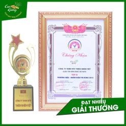 Cao Gừng Tan Mỡ Bụng Thiên Nhiên Việt 250g Phiên Bản 2025 - Tặng Cao Gừng Nghệ Đỏ - 8936079033002