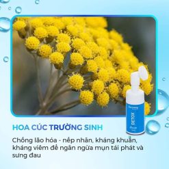 Sữa Rửa Mặt Detox Cleanser Soo Young - 8938532152114