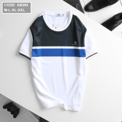 Áo Thun Nam Cá Sấu Cổ Tròn Phối Màu - AB393