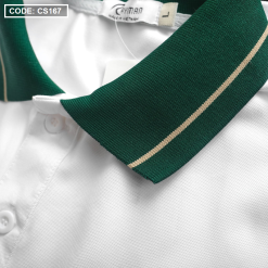 Áo Thun Nam Cá Sấu Có Cổ Viền Xanh Thêu Logo Rayman - CS167