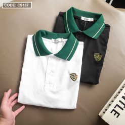 Áo Thun Nam Cá Sấu Có Cổ Viền Xanh Thêu Logo Rayman - CS167