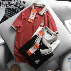 Áo Thun Nam Cotton Có Cổ Thêu Gấu Trẻ Trung - CS171