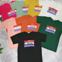 Áo thun thái nữ cổ tròn in vệt màu form suông - AG170