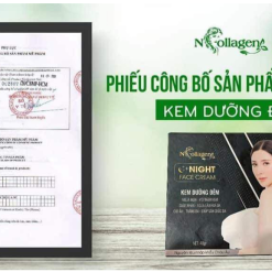 Kem Face Tổ Yến Ban Đêm N Collagen - 8938526572201