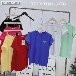 Áo thun thái nữ cổ tròn in chữ kiểu form rộng giấu quần - AG1158