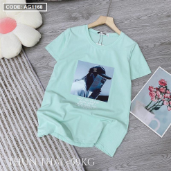 Áo thun thái nữ form suông vừa in hình 3D - AG1168