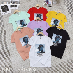 Áo thun thái nữ form suông vừa in hình 3D - AG1168