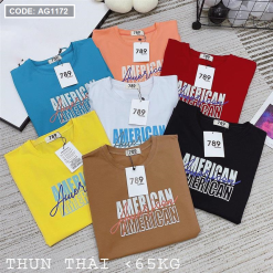 Áo thun thái nữ form rộng in chữ American - AG1172