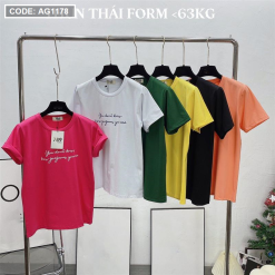 Áo thun thái nữ cổ tròn in chữ kiểu - AG1178