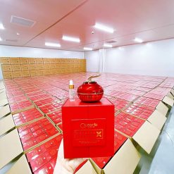 Kem Face Giảm Nám Queenie Skin Huyết Nám Bóc Tách X2 Melasma Cream - 8936136420035