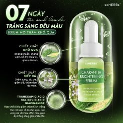 Serum Giảm Thâm Mụn Khổ Qua Soherbs Charantia Brightening Serum - 8936107870333