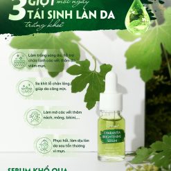 Serum Giảm Thâm Mụn Khổ Qua Soherbs Charantia Brightening Serum - 8936107870333