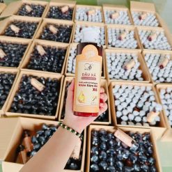 Dầu Xả Nhân Sâm Đỏ X6 Dr Di Hi - 8936118011534