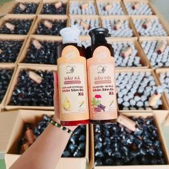 Dầu Xả Nhân Sâm Đỏ X6 Dr Di Hi - 8936118011534