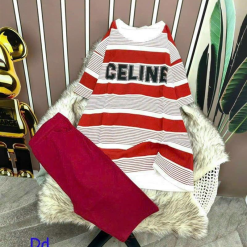 Đồ bộ quần ngố màu áo tay ngắn cổ tròn in chữ celine - DBO4103