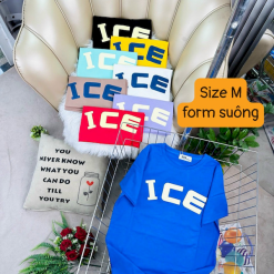 Áo Thun Nữ Cổ Tròn Form Suông Ôm In Hình Size M(40-60kg) - AG1224M