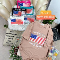 Áo Thun Nữ Cổ Tròn Form Đại In Hình Size XL(65-85kg) - AG1224XL