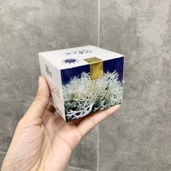 Combo Kem Face Silex Ngày Đêm 10g/Hộp - CBFACESILEX