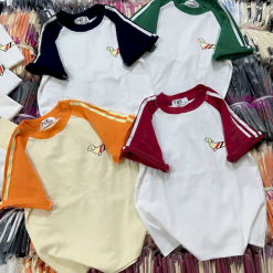 Áo Thun Nữ Cổ Tròn Baby Tee Tay Phối Màu In Hình Cún Mạc AH787 - AG1233