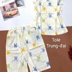 Đồ bộ vải tonl quần lửng áo sát nách bèo - DBO4343