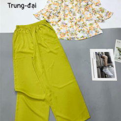 Đồ bộ trung niên mango quần dài màu trơn áo in bông có 2 size - DBO4347