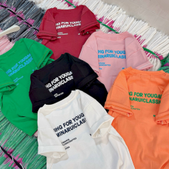 Áo Thun Nữ Cổ Tròn Baby Tee In Chữ Nhỏ Trước Sau Mạc AH787 - AG1244