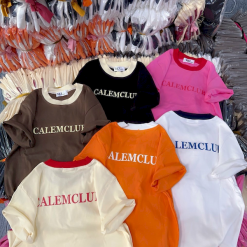 Áo Thun Nữ Cổ Tròn Baby Tee Thêu Chữ CALEMCLUB Mạc AH787 - AG1258
