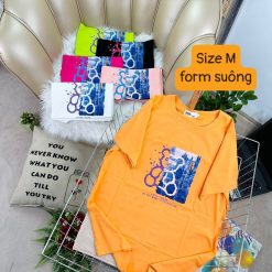 Áo Thun Nữ Cổ Tròn Form Vừa In Hình Viền Gấu Teddy M(40-60kg) - AG1276