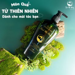 Dầu Gội Thảo Dược Thanh Mộc Hương 350gr - 8938525657152