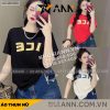 Áo Thun Nữ Cổ Tròn In Chữ ICE form vừa size M(40-60kg) - AG1314