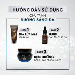 Serum Nhân Sâm Đen Dakami Black Ginseng 15g - 8938539627110