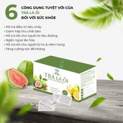 Trà Là Ổi Hỗ Trợ Giảm Mỡ Guava Leav Tea Maria Pharma - TRAGMLAOI