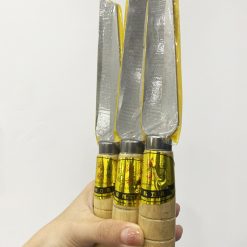 Dao Gọt Hoa Quả - Dao Gọt Trái Cây Sắt Bén - Dao Gọt Cán Gỗ Lưỡi Dao Bằng Thép Không Gỉ Size 21Cm - DGCG01