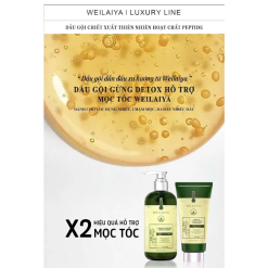 Combo Dầu Gội Xả Gừng Weilaiya Màu Xanh Zingiber Detox X2 Ginger Essence Giúp Tóc Bóng Khỏe Giảm Gãy Rụng - GOIXAW02
