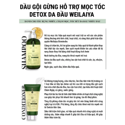 Combo Dầu Gội Xả Gừng Weilaiya Màu Xanh Zingiber Detox X2 Ginger Essence Giúp Tóc Bóng Khỏe Giảm Gãy Rụng - GOIXAW02