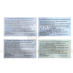 Gel Dưỡng Da Đa Năng Prettyskin Soothing Gel 300ml - GDDDNPTSK