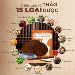 Miếng Dán Tan Mỡ Đông Y Tây Tạng Ohio Slimming Patch - MDTMDY