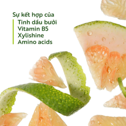 Dầu Gội Bưởi Cocoon Pomelo Shampoo Dung Tích Lớn 500ml - 8936217700094