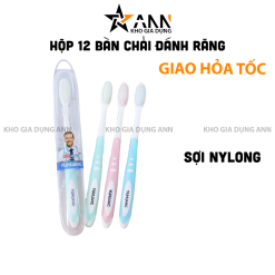 Hộp 12 Bàn Chải Đánh Răng - Bàn Chải Vệ Sinh Răng Miệng - 12BCDR