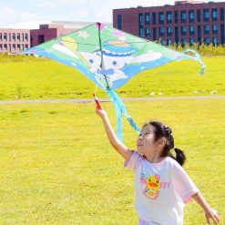 Diều Thả 3D Nhiều Mẫu Tặng Kèm Dây 50m - Diều Cho Trẻ Em 120x170cm - DT01