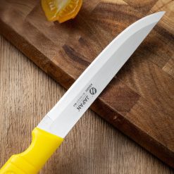 Combo 3 Dao Cán Vàng Đầu Nhọn – Tròn - Dao Gọt Trái Cây 22cm - DCTC01