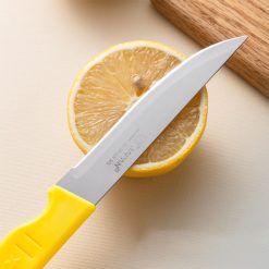 Combo 3 Dao Cán Vàng Đầu Nhọn – Tròn - Dao Gọt Trái Cây 22cm - DCTC01