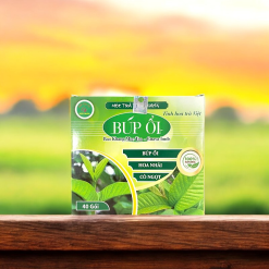 Trà Búp Ổi 40 Gói - Mộc Trà Bảo Khang Chính Hãng - TBO20G