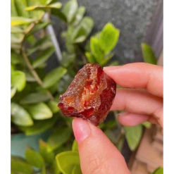 Táo Sấy Dẻo Không Hạt Thơm Ngon Hộp 500g - MTTLH500G