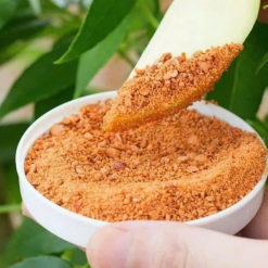 Hộp Muối Tỏi Ớt Siêu Chú Hải Thơm Ngon - Hộp 500g - MTOCHH500G