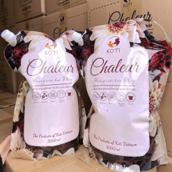 Combo 4 Bịt Nước Giặt Quần Áo Chaleur 3000ml - CHALUER3000ML