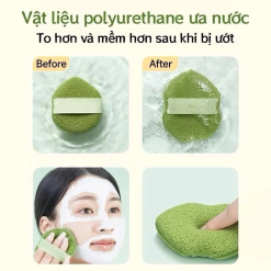 Hộp 3 Miếng Bông Mút Rửa Mặt Bọt Biển Xunfuji (Không Chữ) - 6975008752241
